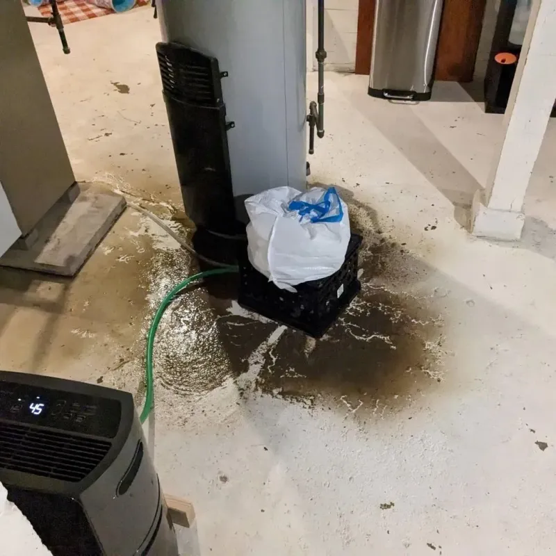Sewage Backup Cleanup Service in Park Hill, OK